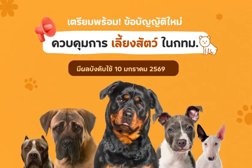 เตรียมพร้อม! ข้อบัญญัติใหม่ ควบคุมการเลี้ยงสัตว์ในกทม.