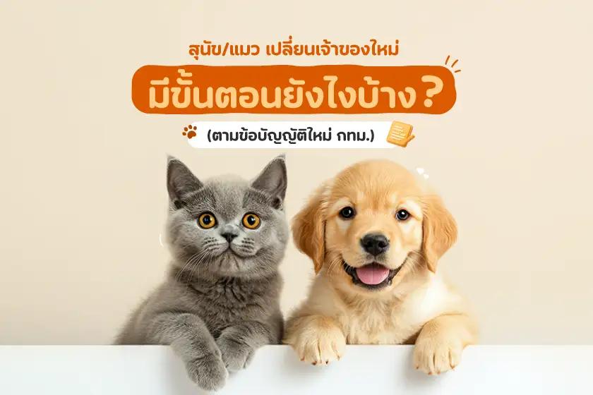 สุนัข/แมว เปลี่ยนเจ้าของใหม่ มีขั้นตอนยังไงบ้าง!?! (ตามข้อบัญญัติใหม่ กทม.)
