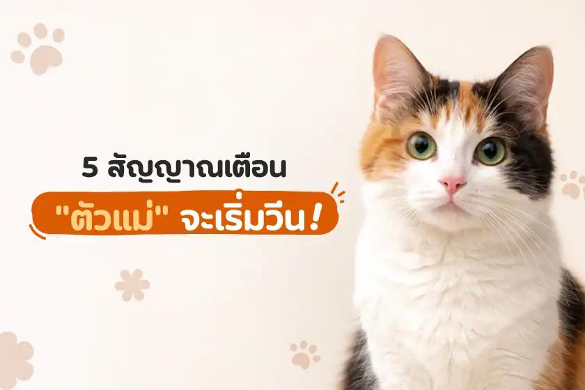 5 สัญญาณเตือนตัวแม่จะเริ่มวีน!!