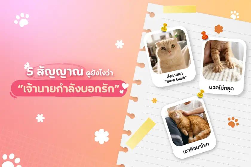 5 สัญญาณดูยังไงว่า “เจ้านายกำลังบอกรัก”