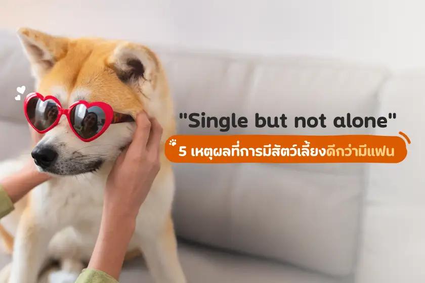 Single but not alone 5 เหตุผลที่การมีสัตว์เลี้ยงดีกว่ามีแฟน