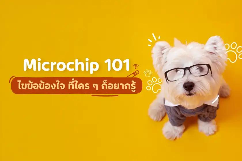 Microchip 101 ไขข้อข้องใจ ที่ใคร ๆ ก็อยากรู้