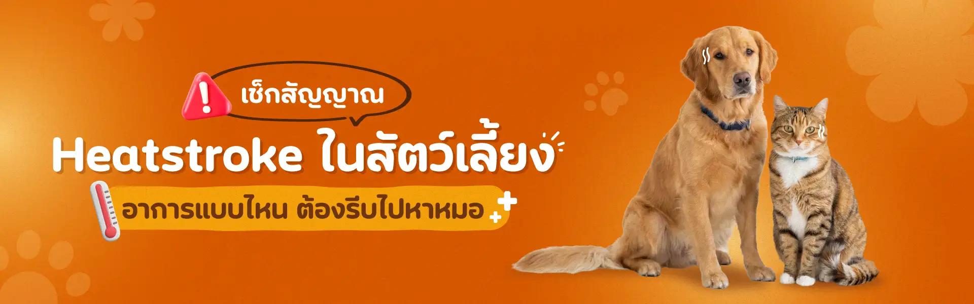 Article Banner