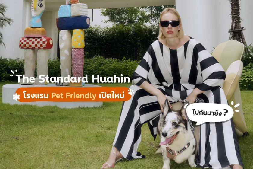 The Standard Pattaya โรงแรม Pet Friendly เปิดใหม่ ไปกันมายัง?!?