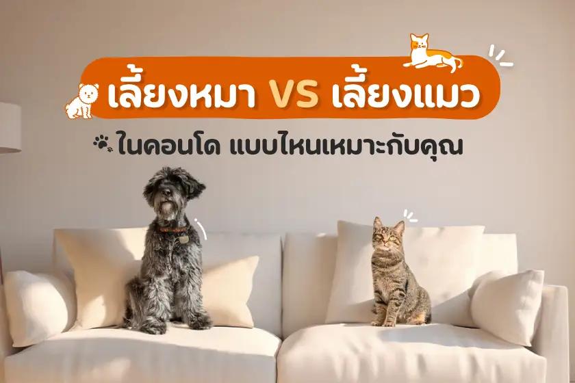 เลี้ยงหมา VS เลี้ยงแมว ในคอนโด  แบบไหนเหมาะกับคุณ