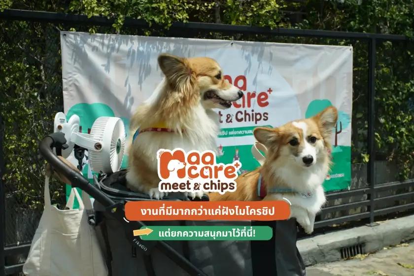 maacare meet and chips งานที่มีมากกว่าแค่ฝังไมโครชิป แต่ยกความสนุกมาไว้ที่นี่!