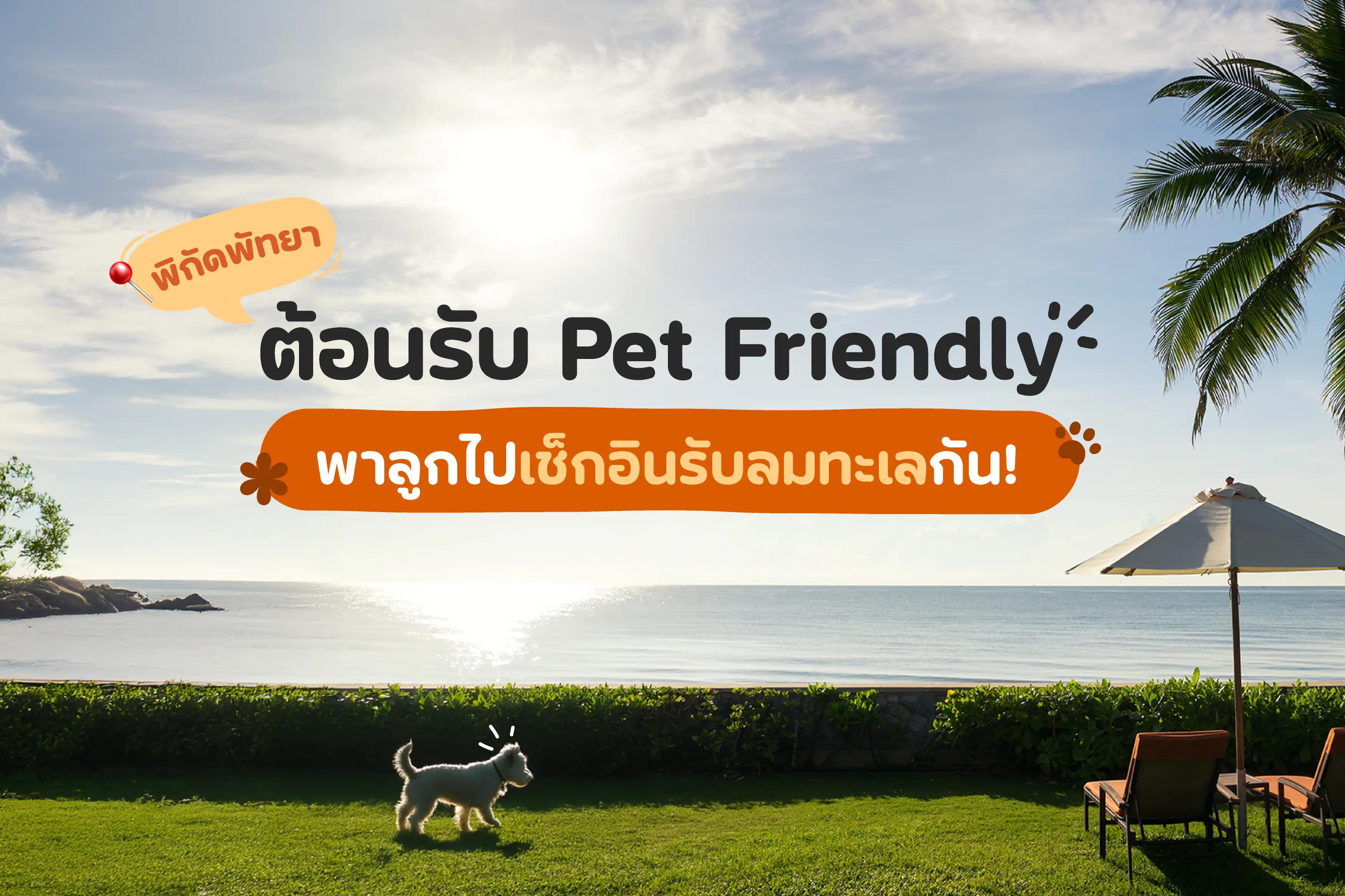 พิกัดพัทยา ต้อนรับ Pet Friendly พาลูกไปเช็กอินรับลมทะเลกัน!