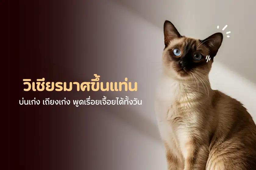 วิเชียรมาศขึ้นแท่น  บ่นเก่ง เถียงเก่ง พูดเรื่อยเจื้อยได้ทั้งวัน