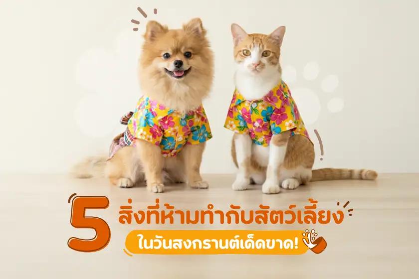 5 สิ่งที่ห้ามทำกับสัตว์เลี้ยง ในวันสงกรานต์เด็ดขาด!