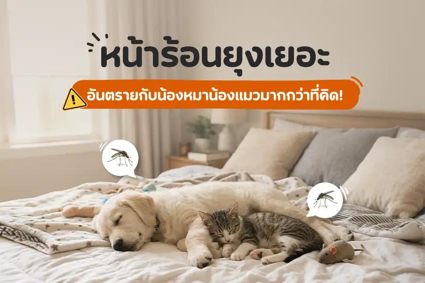 หน้าร้อนยุงเยอะ อันตรายกับน้องหมาน้องแมวมากกว่าที่คิด!