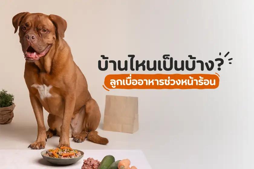 บ้านไหนเป็นบ้าง? ลูกเบื่ออาหารช่วงหน้าร้อน
