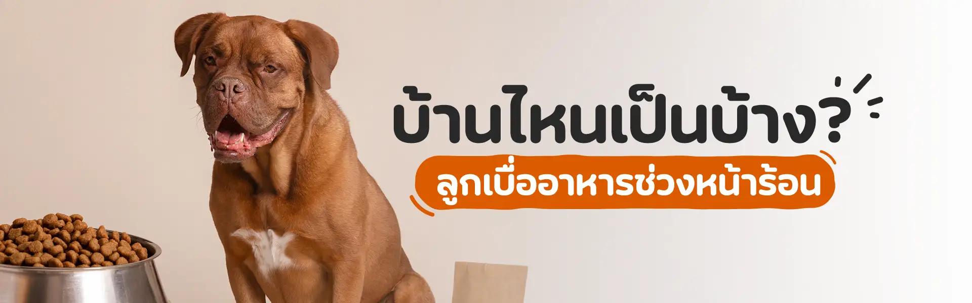 Article Banner