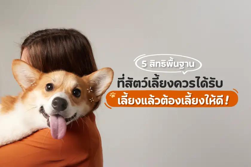 5 สิทธิพื้นฐานที่สัตว์เลี้ยงควรได้รับ เลี้ยงแล้วต้องเลี้ยงให้ดี!