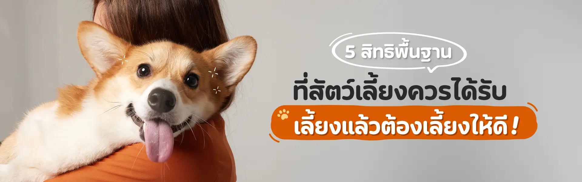 Article Banner