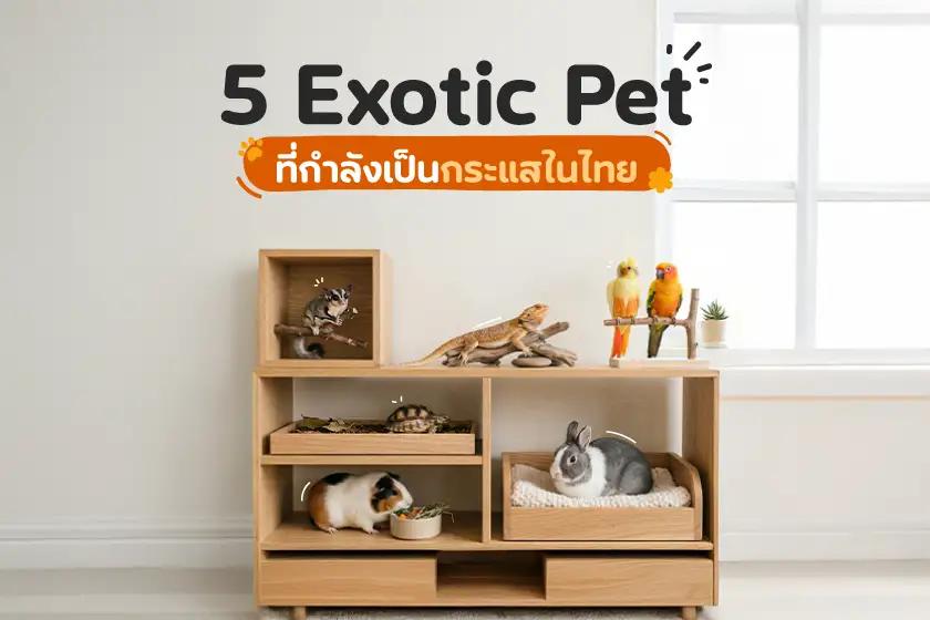 5 Exotic Pet ที่กำลังเป็นกระแสในไทย