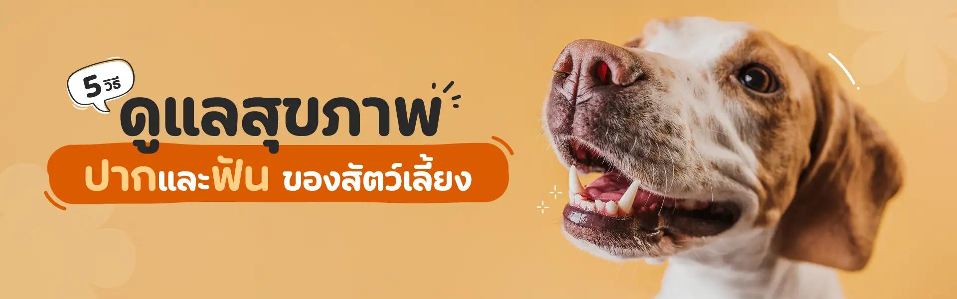 Article Banner