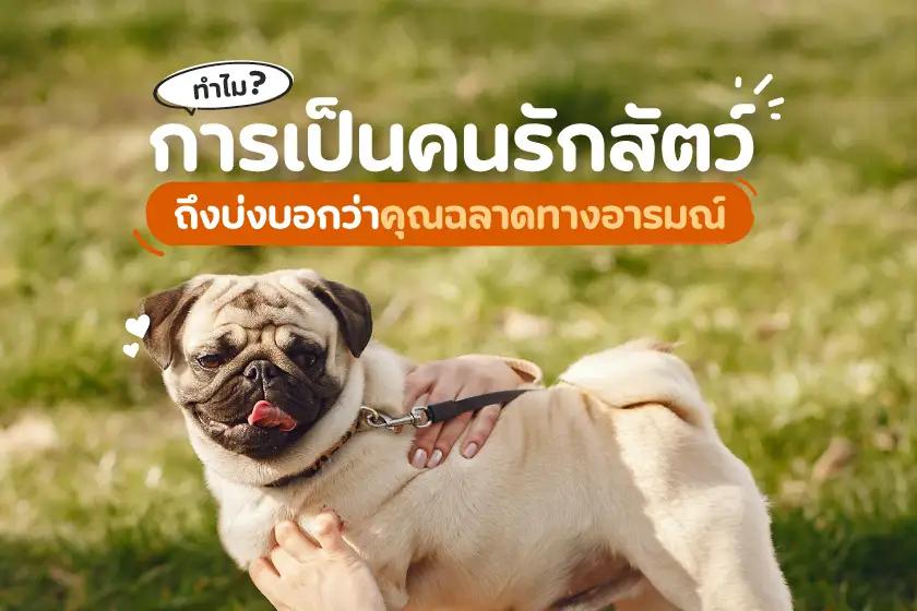 ทำไมการเป็นคนรักสัตว์ ถึงบ่งบอกว่าคุณฉลาดทางอารมณ์