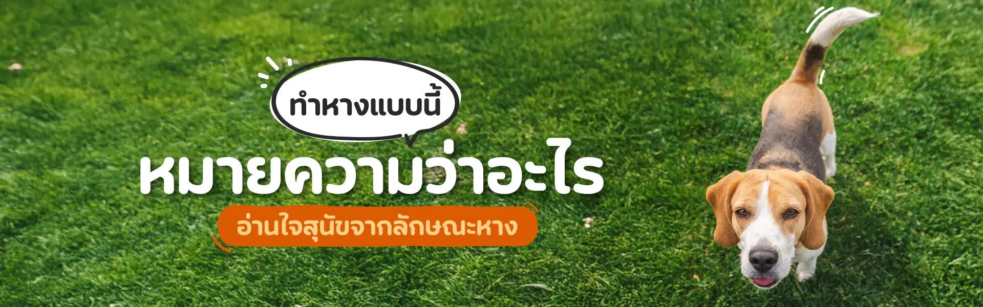 Article Banner