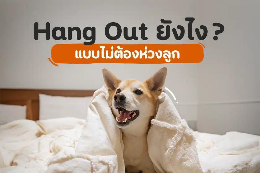 Article Banner