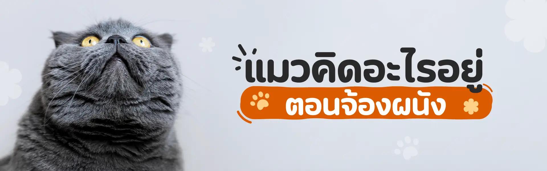 Article Banner