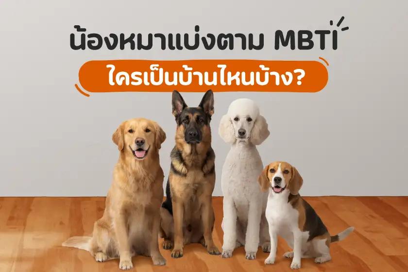 น้องหมาแบ่งตาม MBTI ใครเป็นบ้านไหนบ้าง?