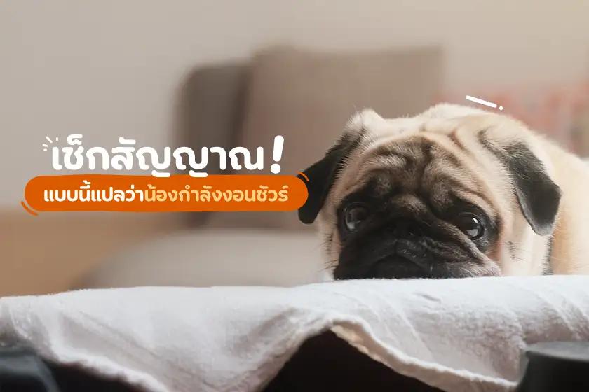 Article Banner