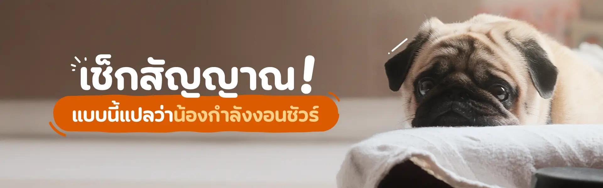 Article Banner