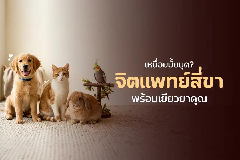 เหนื่อยมั้ยนุด? จิตแพทย์สี่ขา พร้อมเยียวยาคุณ