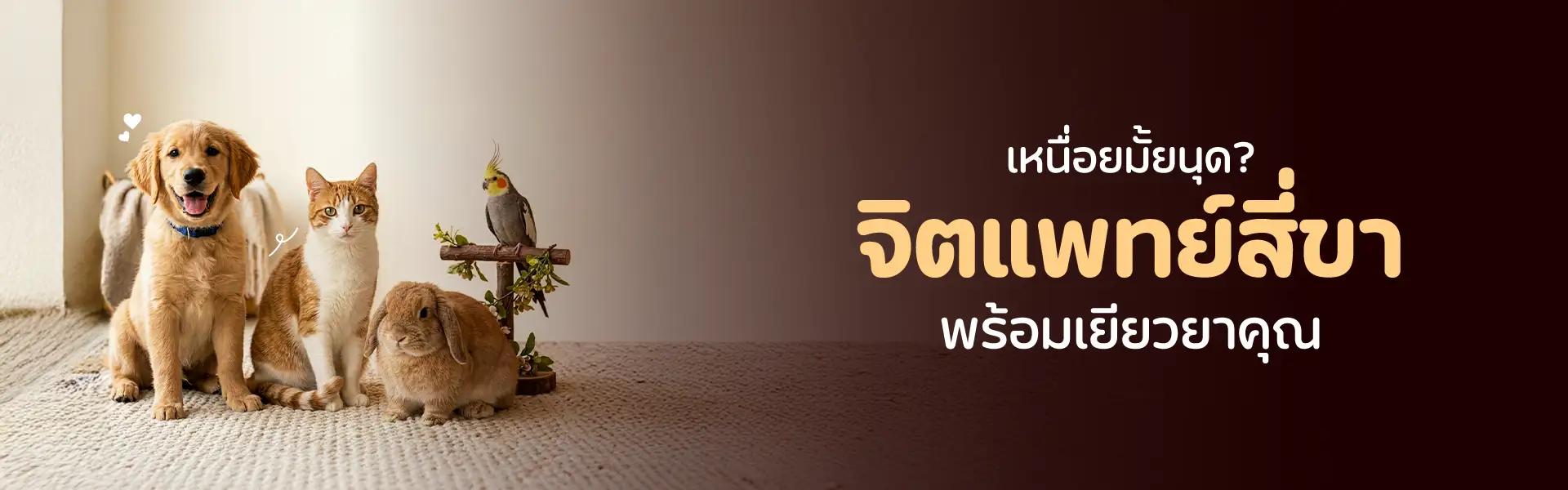 Article Banner