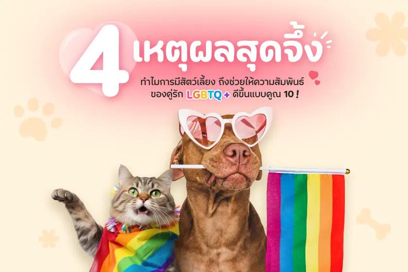 ทำไมการมีสัตว์เลี้ยง ถึงช่วยให้ความสัมพันธ์ของคู่รัก LGBTQ+ ดีขึ้นแบบคูณ10!