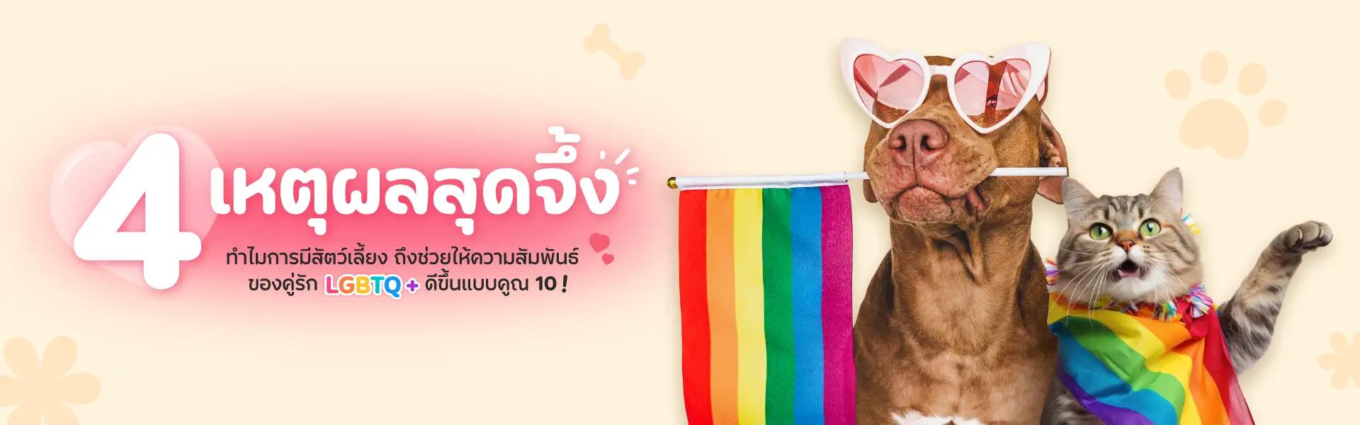 Article Banner