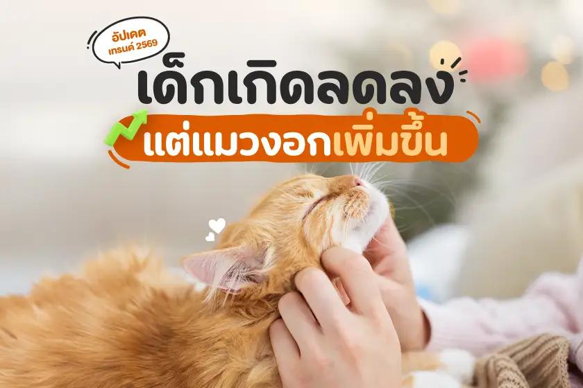 Article Banner