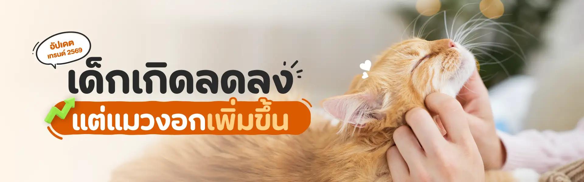 Article Banner