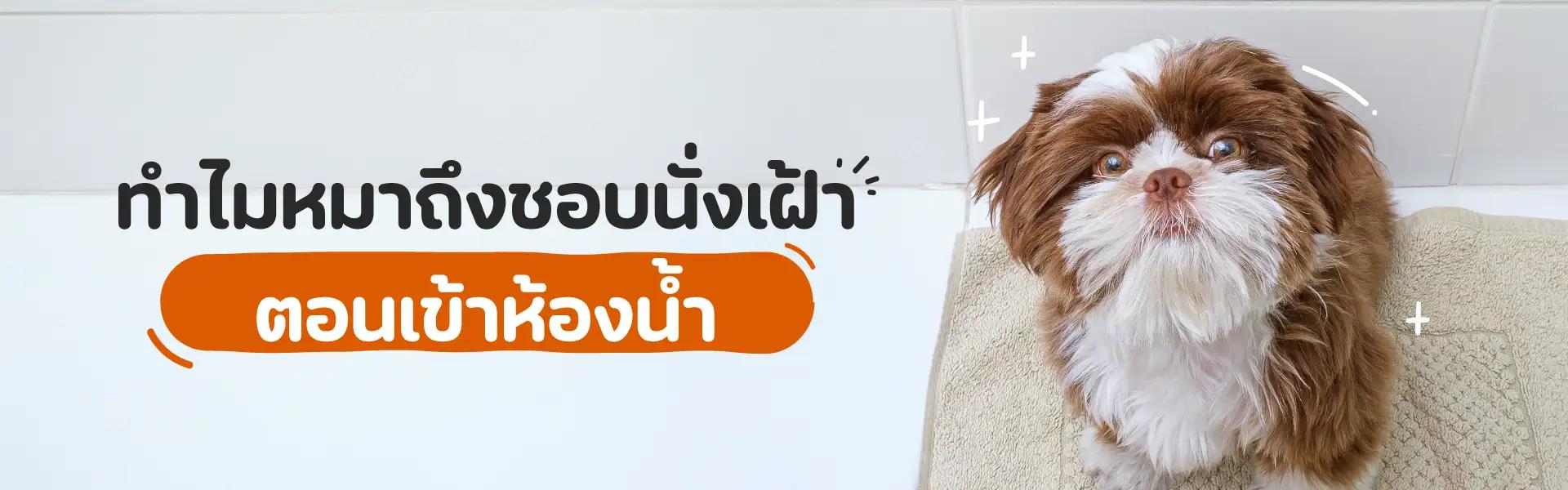 Article Banner