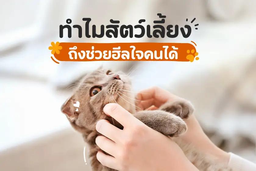 Article Banner