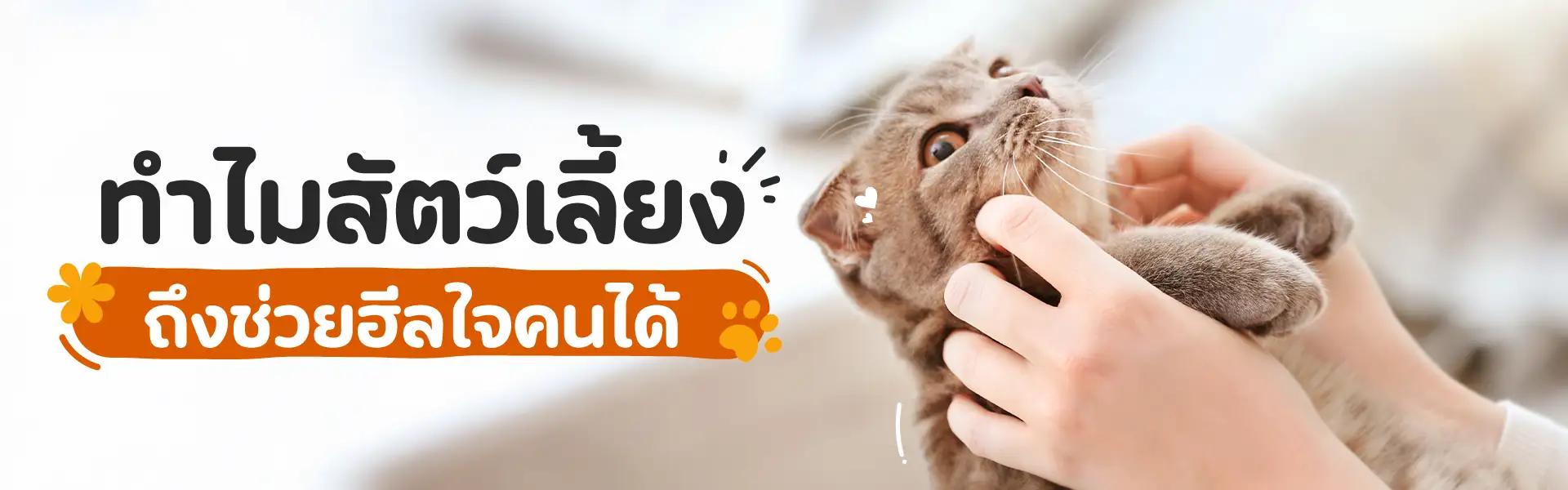 Article Banner
