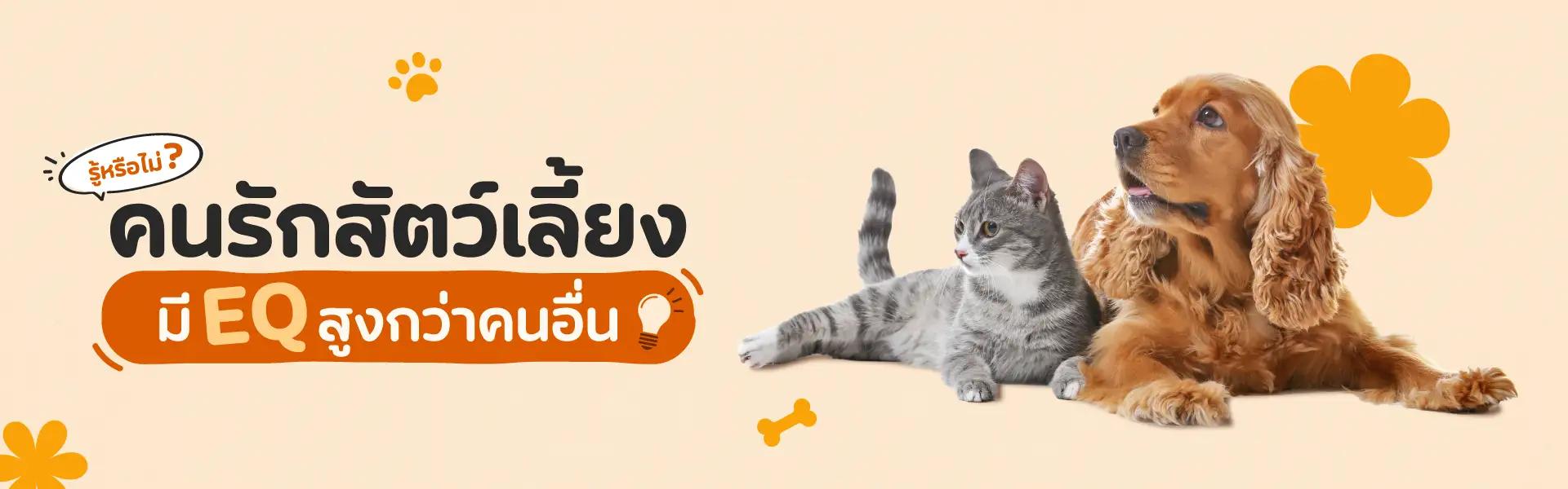 Article Banner