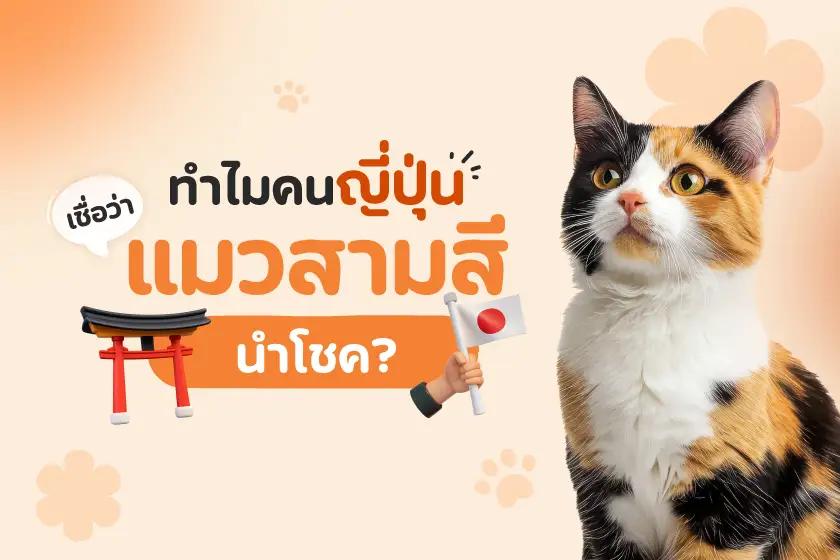 Article Banner