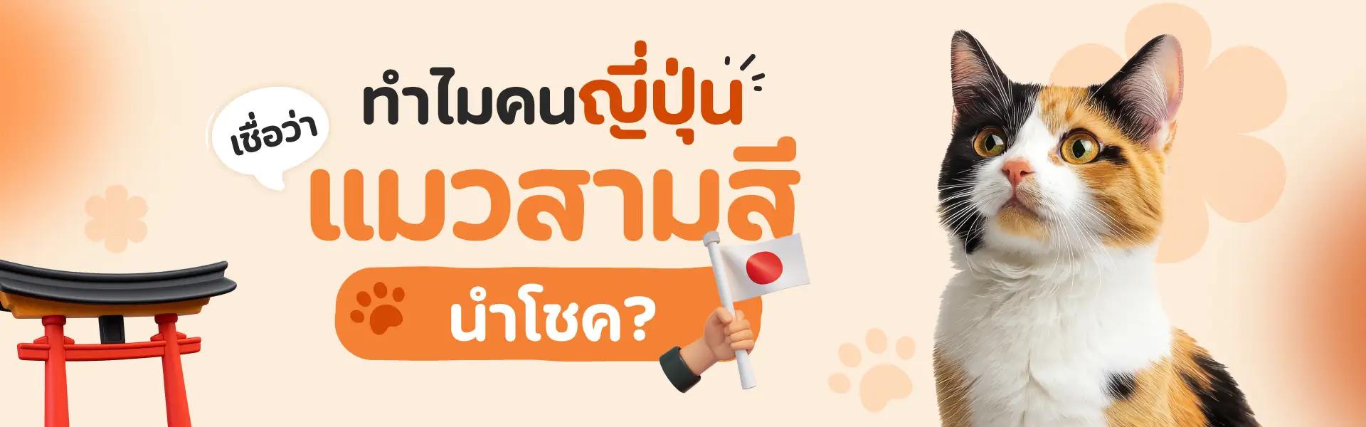 Article Banner