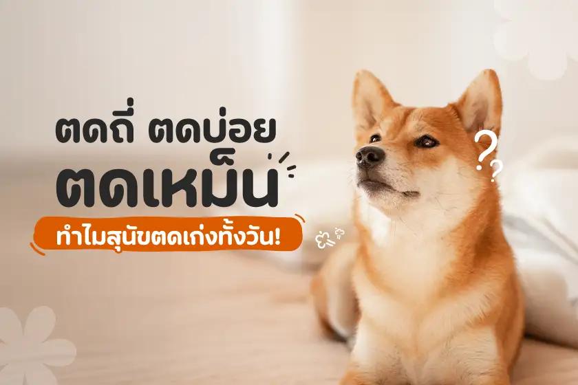 Article Banner