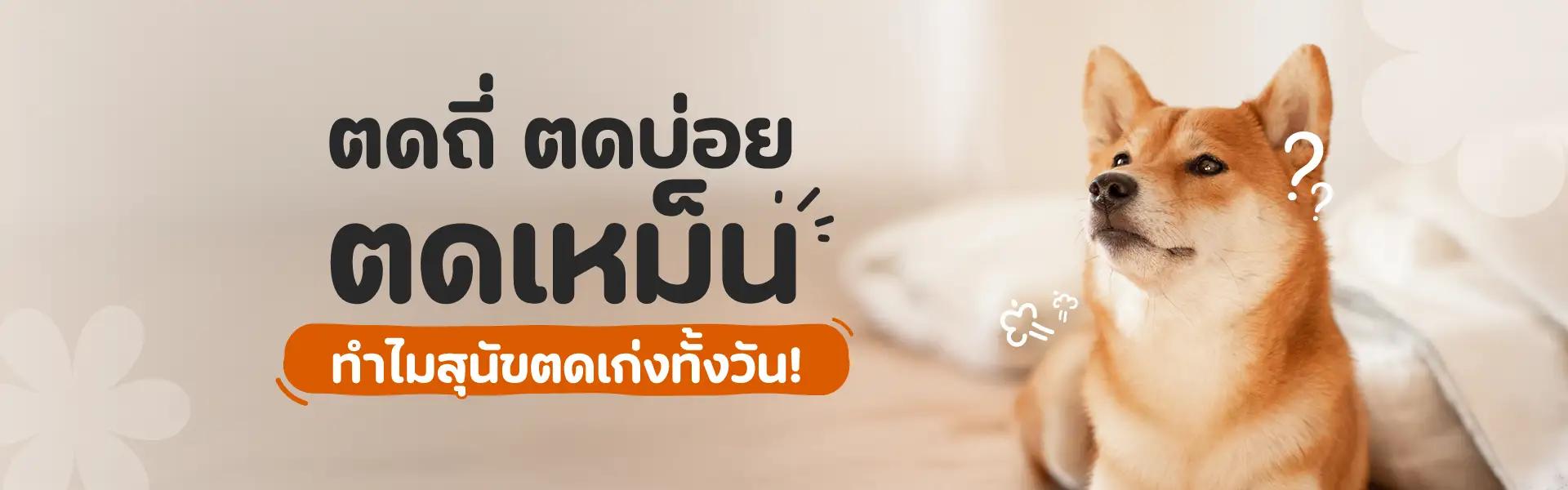 Article Banner