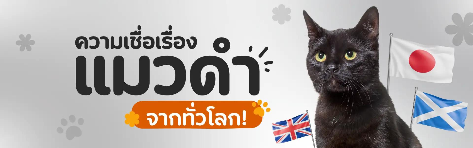 Article Banner