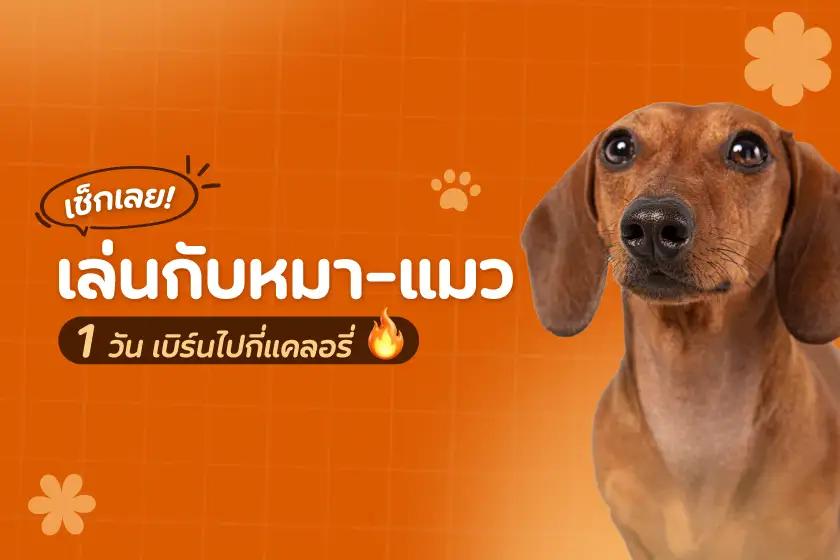Article Banner