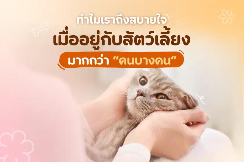 ทำไมเราถึงสบายใจเมื่ออยู่กับสัตว์เลี้ยง มากกว่า “คนบางคน”