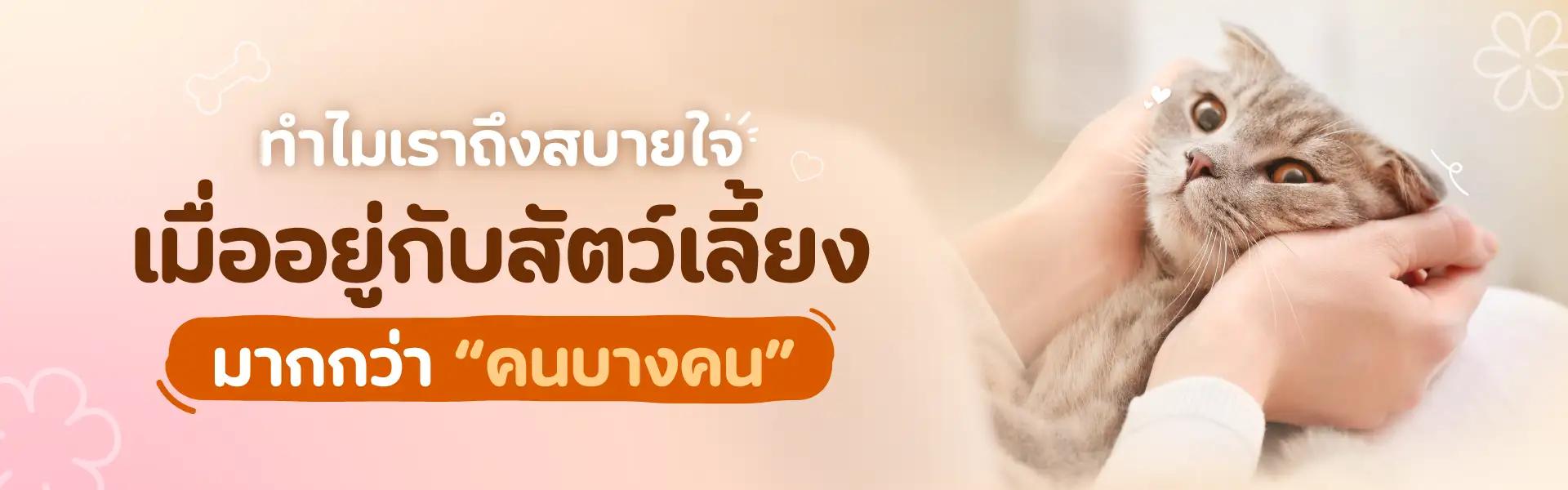 Article Banner