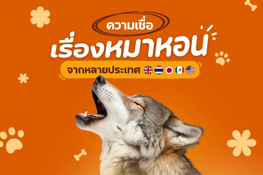 ความเชื่อเรื่องหมาหอนจากหลายประเทศ