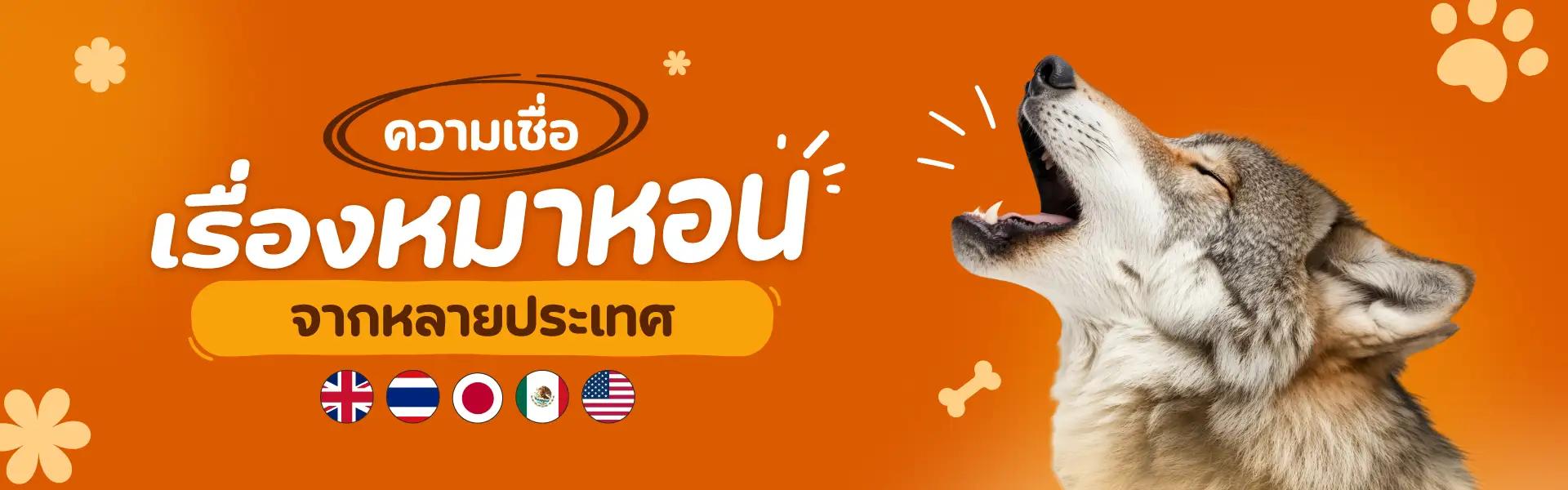 Article Banner