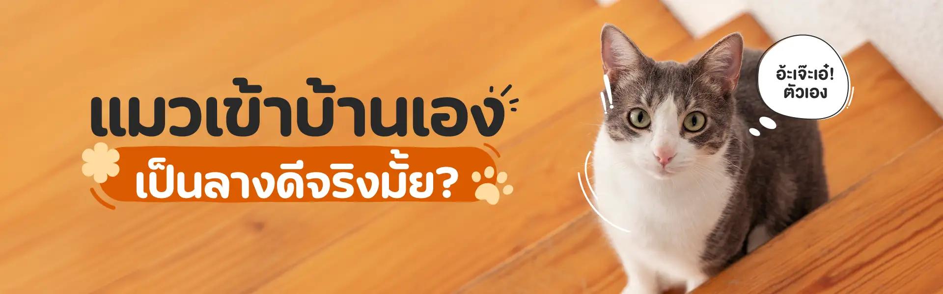 Article Banner