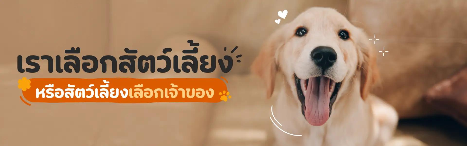 Article Banner
