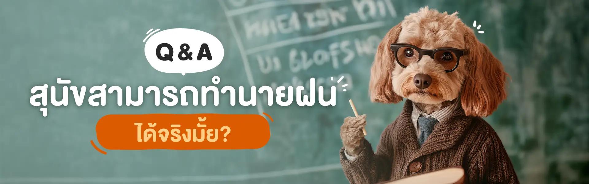 Article Banner